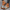 Orthopedische Sandalen Comfort Zomer Wandelen – Soliva