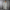 Warm Lang Vest met Stijlvolle Pasvorm – Nora