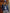 Tijdloos navy bomberjack voor dames – Sophie
