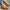 Stijlvolle orthopedische ballerina's voor dames – Verona