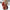 Warme Waterdichte Winterjas voor Dames – Saskia