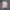 Elegante losse blouse met knoopsluiting – Laura
