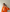Twee-delige dames set met kraag en shorts – Evelyne