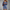Florale dames zomerjurk elegant luchtig stijlvol - Elfrida