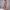 Elegante casual hemdjurk dames warm weer - Isa