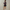 Dames vegan leren jas bordeaux edgy en stijlvol – Lotte
