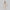 Lange trenchcoat met elegant design voor dames – Vera