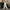 Casual damesbroek met trekkoord en relaxte pasvorm – Elise