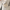 Gevlochten schoudertas met parels en ketting – Zeyora