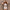 Zomerset met Bandeau Top en Rok – Print Tube