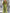Zomerse dames set met blouse en broek – Elvira