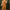 Elegante bloemenjurk met vloeiende pasvorm – Amandine