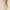 Floral Maxi Jurk met Flatterende Pasvorm – Sophie