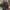 Dames cape jas warm elegant herfst must-have – Noor