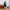 Waterdichte dames trenchcoat met stijl – Olivia