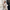 Cropped trenchcoat met chique uitstraling voor dames – Emma