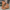 Dames slippers met bloemknoop en zachte zool – Valeni