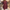Dames jurk langemouw herfst winter comfortabel stijlvol – Lurevia
