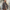 Dames cape jas warm elegant herfst must-have – Noor