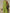 Casual dames set met luchtige pasvorm en stijl – Danika
