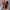 Luchtige slip-on sandalen met mesh bovenkant – Luvana
