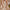 Maxi avondjurk met 3D rozen en open rug – Evelina