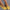 Comfort ballerina’s met schokdempende gelzool – Lara