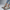 Comfort sandalen dames voetondersteuning licht ademend - Flore