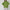 Warme Wol Coltrui met Elegante Pasvorm – Nora