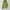 Warme Wol Coltrui met Elegante Pasvorm – Nora