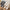 Comfortabele winterpantoffels voor dames – Zara