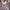 Winterkleding Set voor Comfort en Stijl – Bibi