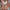 Winterkleding Set voor Comfort en Stijl – Bibi