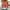 Zachte katoenen sweater met boho print – Livari