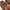 Gebreid heren vest met western stijl – Lucas