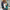 Casual damesjack met bloemenprint – Julia