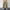 Metro Cargo Joggers met Losse Pasvorm en Flapzakken - Philip
