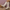 Elegante en duurzame dames cowboylaarzen – Cooper