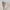 Lange trenchcoat met elegant design voor dames – Vera