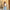 Dames korte trenchcoat herfstjas stijlvol en licht – Yara