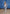 Set met Delfts Blauwe Print – Delft Elegance