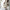 Warme en comfortabele cashmere sweater voor dames - Sophie