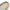 Heren Slippers Comfort Ademend Antislip Zomer – Nuvilo