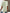 Gestreepte Blouse Lichtgewicht Zomer Pasvorm – Elouvia