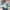 Casual damesjack met bloemenprint – Julia