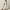 Dames Jeans Hoge Taille Comfort Stretch Denim – Zovella