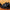 Heren Echte Leren Lichte Loafers