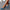 Comfort ballerina’s met schokdempende gelzool – Lara