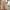 Dames shorts met zakken en elastische taille – Roos