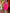 Dames top mouwloos effen katoenmix zomer – Virella